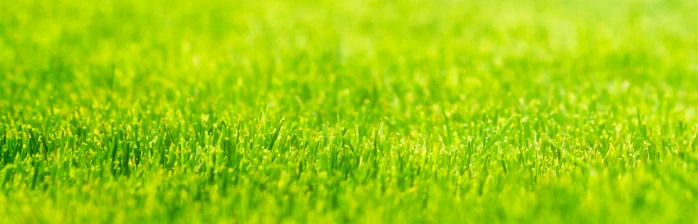 Stalco Garden Grass