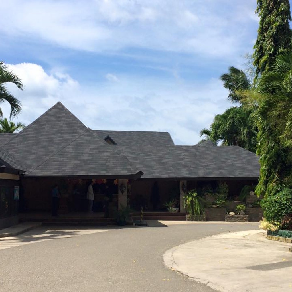 Iko Superglass Zsindely | Hardvard Slate