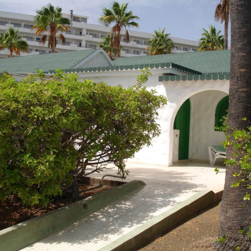 Iko Superglass Biber Zsindely | Amazon Zöld