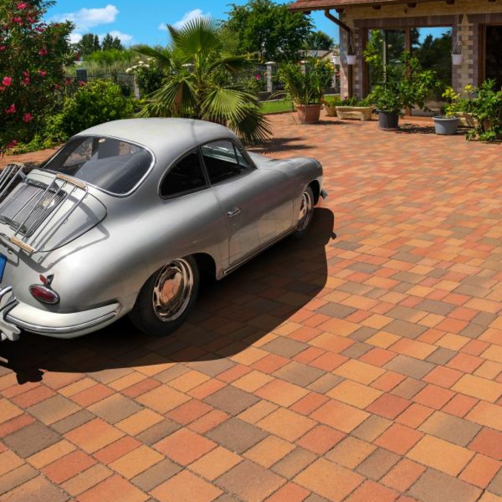 Barabás Badacsony | őszilomb