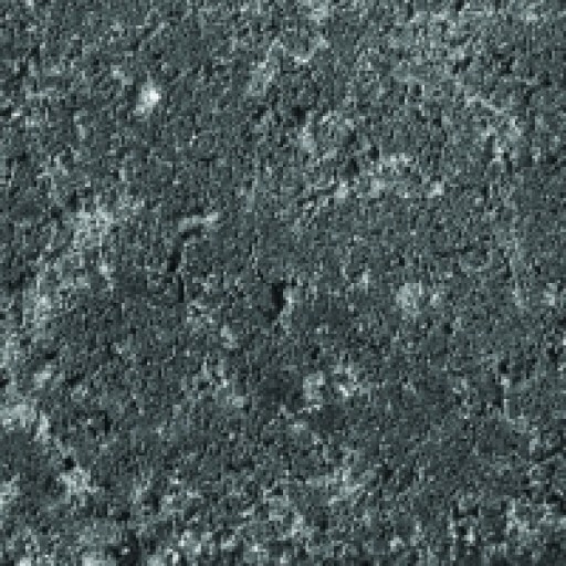 Antracit Serpentino térkő - szín minta