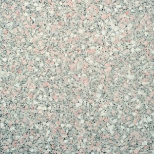 Rosa Leier Granite lap | Kerti lap - szín minta