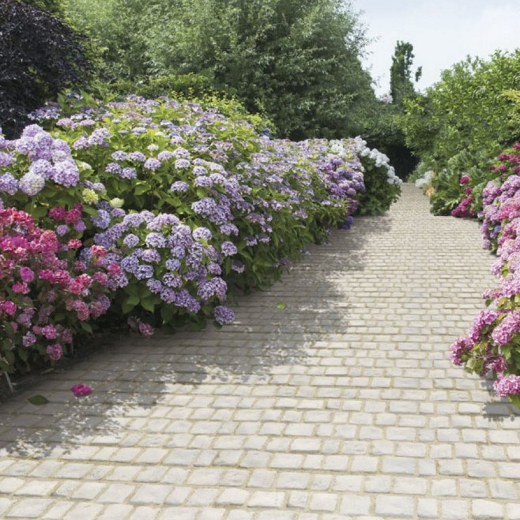 Semmelrock Bradstone Cobble Kombi Térkő | Mészkőfehér