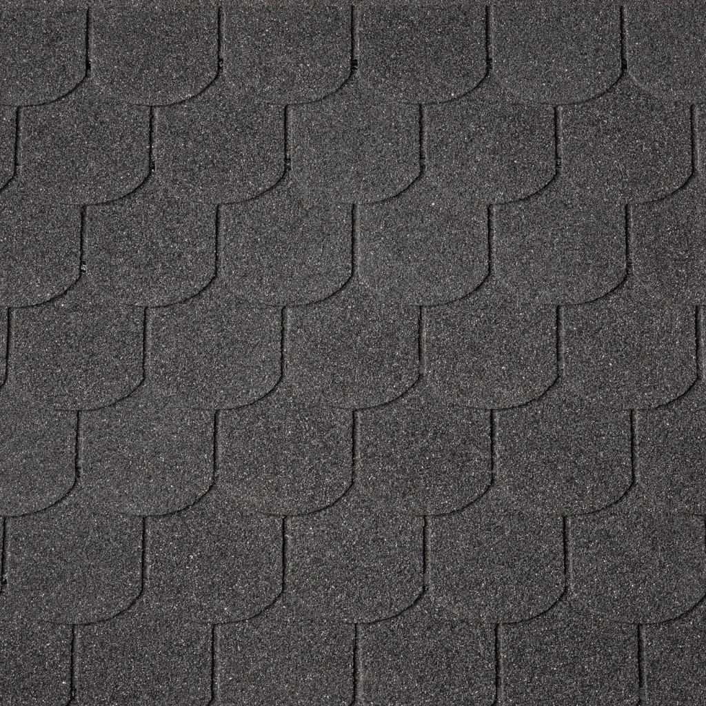 Number One Zsindely | Fekete