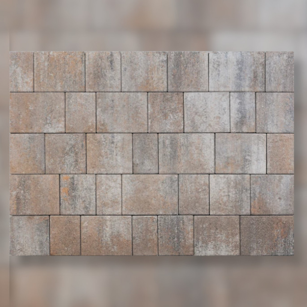 Beton-Plusz Schalbert-kő | Kagylóhéj