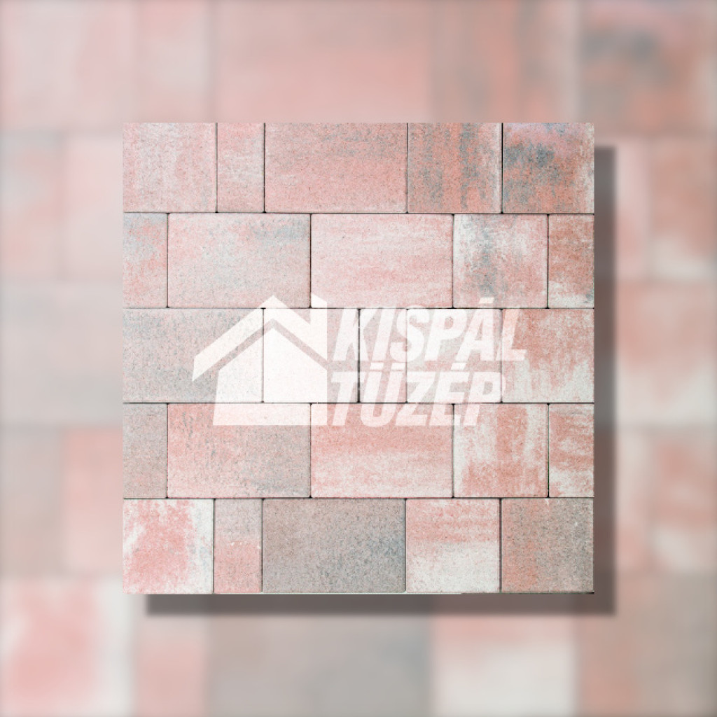 Leier Taverna térkő | Kagylóhéj Satírozott