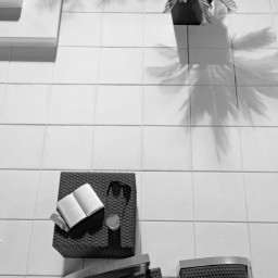 Rosa Leier Granite lap | Kerti lap